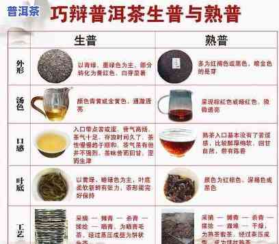 存普洱茶最多的人是谁？揭示茶叶收藏界的“大咖”