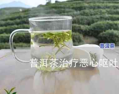 喝完普洱茶恶心想吐怎么办？快速缓解方法全解析！