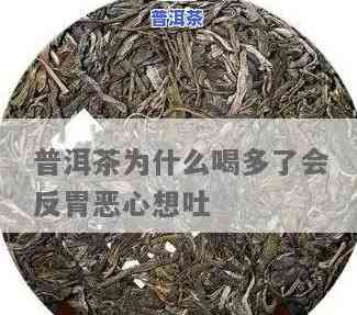 喝了普洱茶巨饿恶心想吐-喝了普洱茶巨饿恶心想吐怎么回事