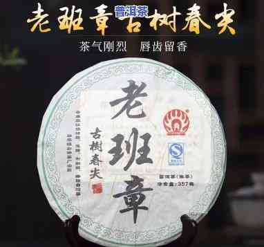 勐傣老班章，探寻茶马古道上的珍品——勐傣老班章