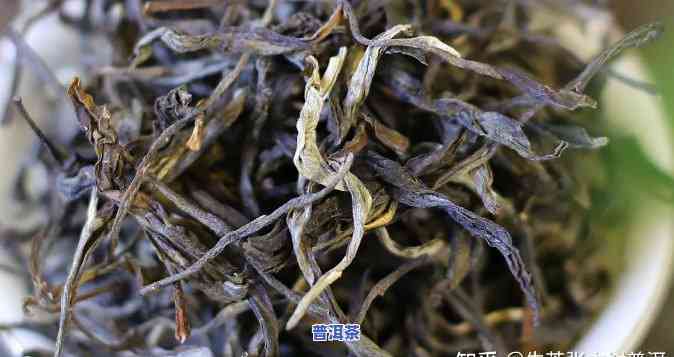 普洱茶的三不挑茶是什么-普洱茶的三不挑茶是什么意思