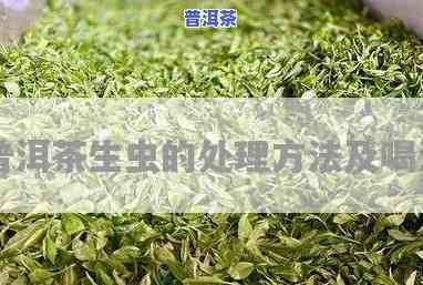 怎么保存普洱茶不生虫，怎样避免普洱茶生虫？实用的保存方法大揭秘！