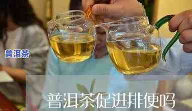 喝普洱茶会排便吗？女性也会有此效果吗？