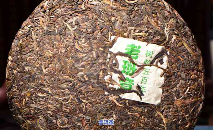 老班章古树王珍藏品-老班章古树茶王价格