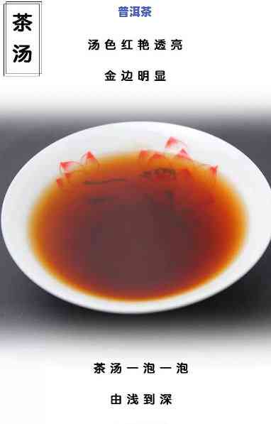 老班章茶：红茶or绿茶？揭晓真相