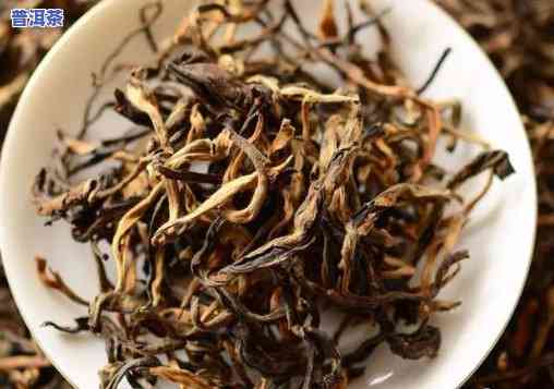 普洱茶100个名山名寨-普洱茶的名山名寨