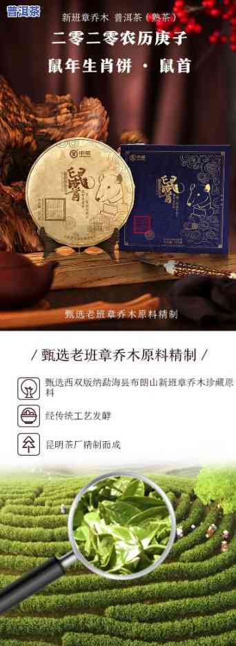 中茶普洱茶鼠首老班章：2020年新品上市，原产地直供，价格优惠，不容错过！