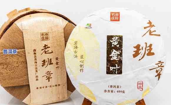 勐海豫康茶厂班章黄金条，探秘勐海豫康茶厂：品味班章黄金条的特别魅力