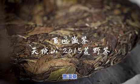 熟普洱是散茶好还是茶饼好，熟普洱：散茶和茶饼，哪种更好？