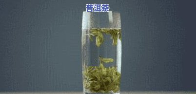 生普洱去火气吗，生普洱茶真的能去火气吗？探讨其功效与作用