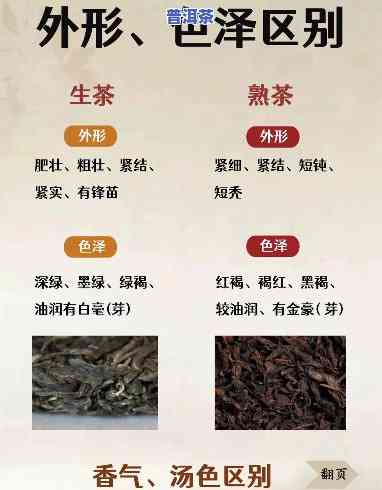 老班章茶是什么意思，探秘老班章茶：理解这个热门茶叶的含义和特点