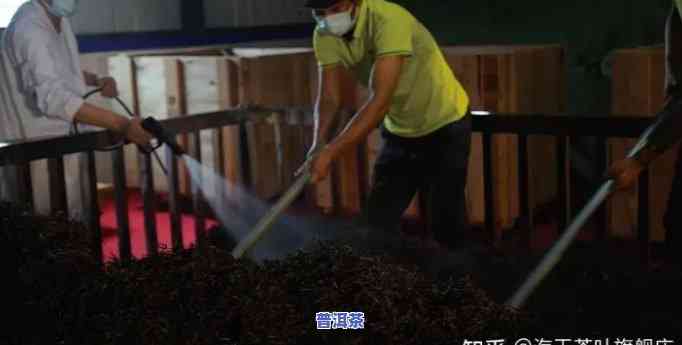 普洱茶打堆技巧视频教程下载，掌握普洱茶打堆技巧：高清视频教程免费下载！