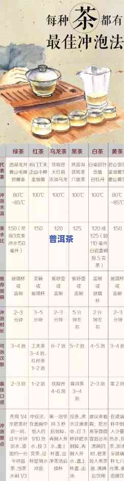 怎样准确掌握生普洱冲泡比例？从茶叶量到水量全解析