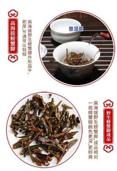 普洱茶螃蟹脚百科，「普洱茶螃蟹脚」百科：揭开神秘的云南特色茶叶与美食