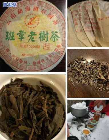 2006年老班章熟茶，回顾2006：探秘老班章熟茶的魅力与历史