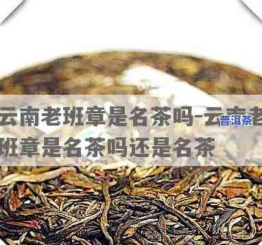 云南人喝老班章好吗-云南老班章属于什么茶