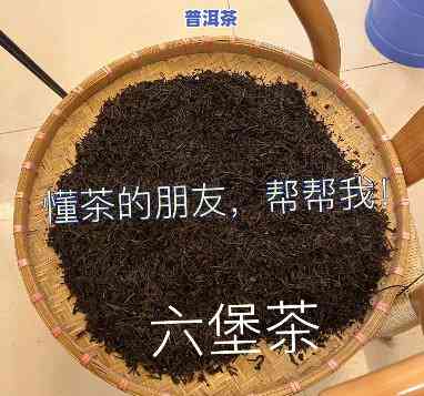 收到朋友送的普洱茶：怎样表达感谢？