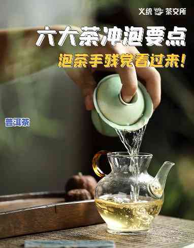 大益八式普洱茶泡茶教程大全：全面解析大益茶道八式