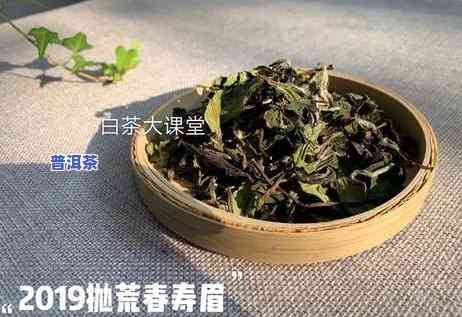 普洱茶饼茶与散茶的区别及功效