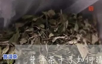 普洱茶怎么洗茶渍才干净？看这里！详细视频教程讲解