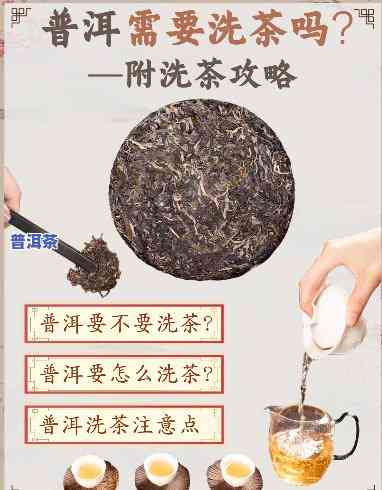 普洱茶叶清洗方法：怎样洗净并正确泡制？