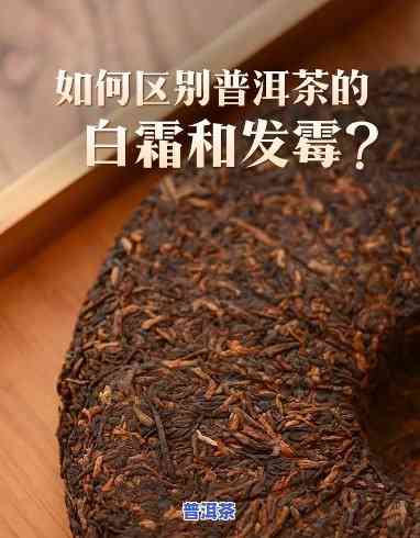 怎样判断普洱茶杀没杀熟-怎么判断普洱熟茶是不是发霉