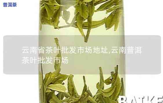 昆明普洱茶购物商城地址电话及详细信息查询