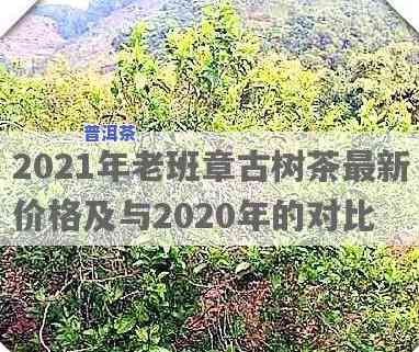 老班章古树纯料价格是多少？2020年最新报价及市场行情分析