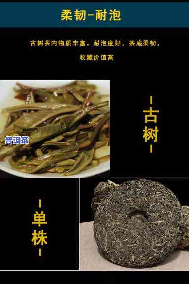 老班章古树条索图片-老班章古树纯料价格