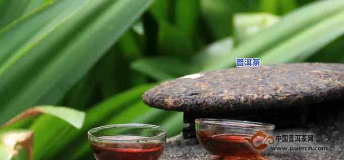 很嫩的普洱茶叫什么名字好听，探寻美味：哪种“很嫩”的普洱茶更好听？