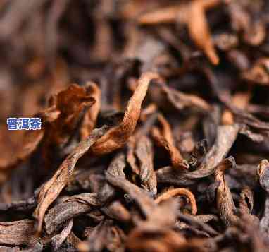 普洱茶熟普仓位图片大全-普洱茶熟普仓位图片大全大图