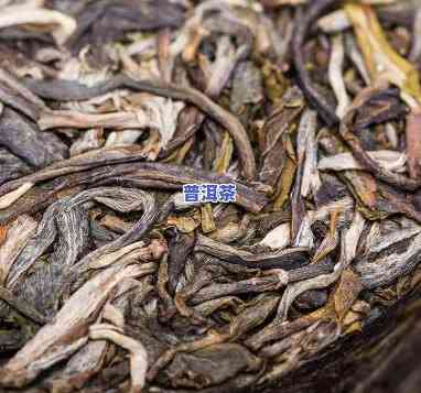 普洱茶熟普仓位怎么分类-普洱茶熟普仓位怎么分类的