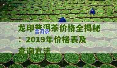 龙洞湾普洱茶价格查询网-龙洞湾普洱茶价格查询网站