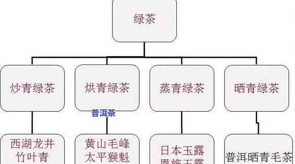 普洱茶分类详解：熟悉普洱茶的种类和品种划分