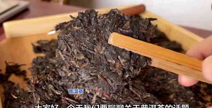 买什么普洱茶更好喝-买什么普洱茶更好喝的