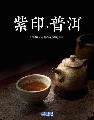 紫印普洱茶有什么特点吗-紫印普洱茶有什么特点吗图片