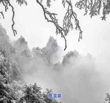 普洱山云海什么时候下雪，探秘普洱山云海：何时能目雪花飞舞的美景？