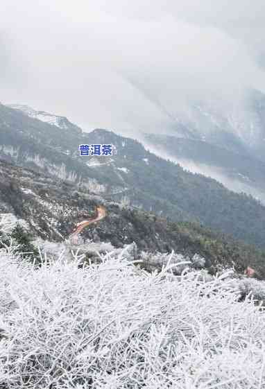 普洱山云海什么时候下雪，探秘普洱山云海：何时能目雪花飞舞的美景？