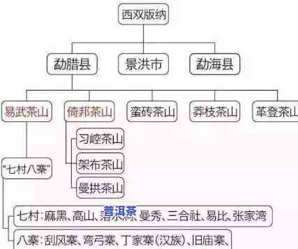 普洱茶的地域分类全揭秘：图片与英文解析