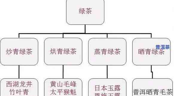 普洱茶分多少类的茶种好-普洱茶分多少类的茶种好喝