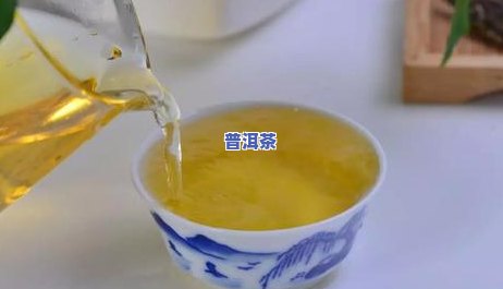 普洱茶买新茶还是老茶，怎样选择？普洱茶应购买新茶还是老茶？