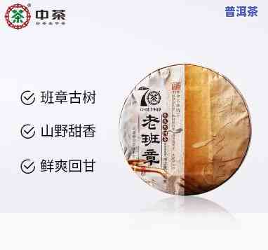 中茶老班章古树茶2020：年度顶级新品与2021年最新款的全面对比评测