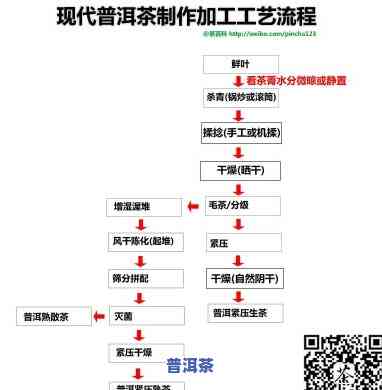 普洱茶杀青的原理图示图片大全：深入熟悉制作过程的关键步骤