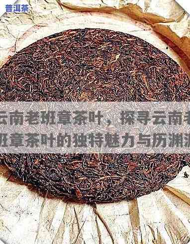 云南老班章茶叶，品味云南风情：探索老班章茶叶的魅力