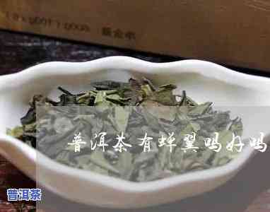 普洱茶有蝉翼吗好不好喝-普洱茶有蝉翼吗好不好喝呀