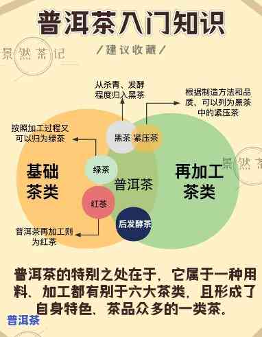 普洱茶分多少类的好喝点-普洱茶分多少类的好喝点呢