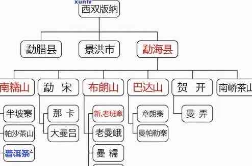 普洱茶分类全面解析：详解各类品种与特点