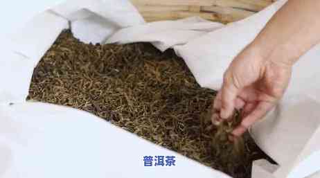 普洱茶分多少类茶种茶叶-普洱茶分多少类茶种茶叶