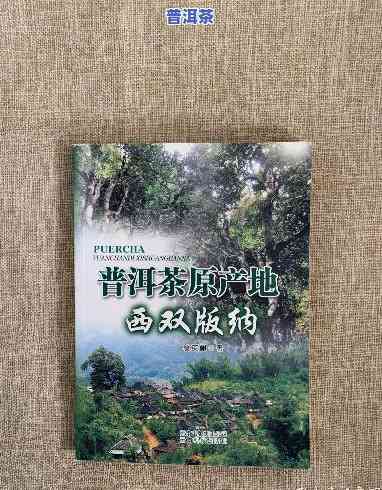 云南西双版纳普洱茶产地，探秘云南西双版纳：普洱茶的故乡与制作工艺