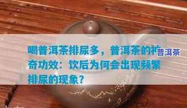 普洱茶喝了利尿不排尿吗女性，普洱茶对女性的利尿作用：是不是真的有效？